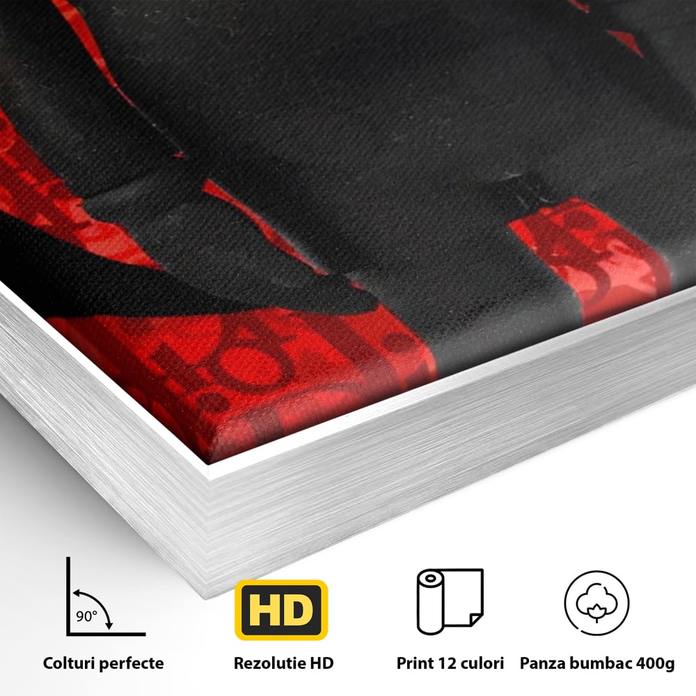 Detaliu al suprafetei: tablou canvas cu robot negru supreme, in rama de aluminiu argintiu